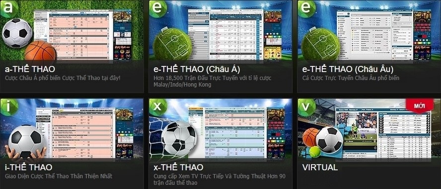 cá độ bóng đá