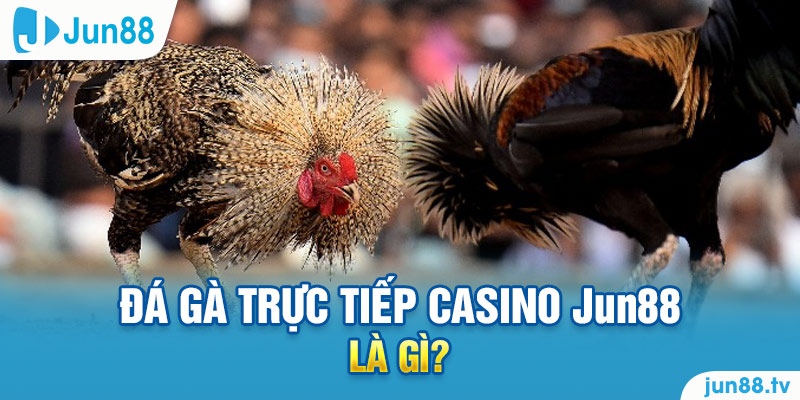 Đá gà trực tiếp casino Jun88 là gì?