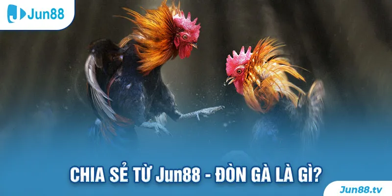 Chia sẻ từ Jun88 - Đòn gà là gì?