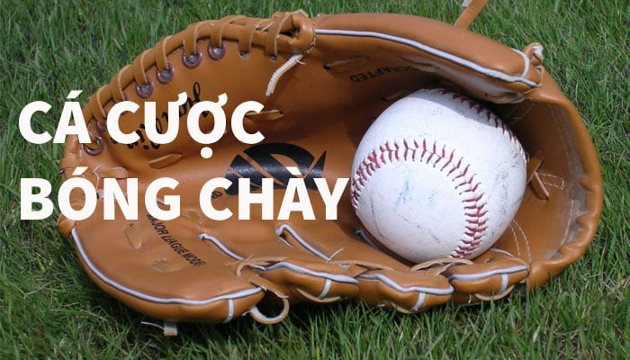 cá cược bóng chày World Series