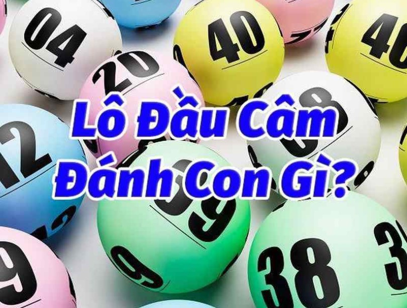 Cánh bắt lô đầu câm - đít câm hiệu quả