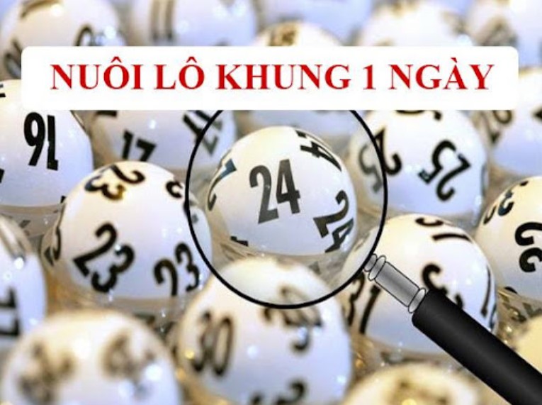 Nuôi khung 1 ngày là gì?