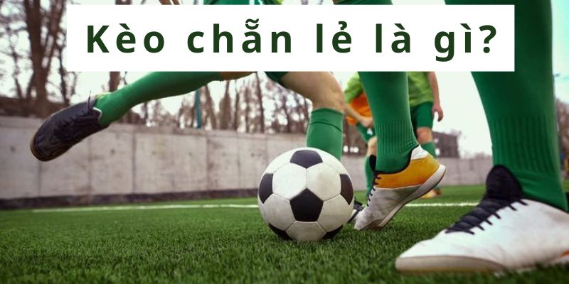 Giới thiệu về kèo chẵn lẻ